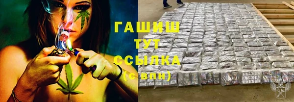 прущие грибы Абинск